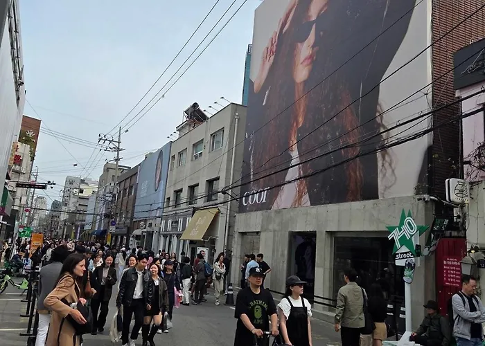 Forest Sb 01 Seul